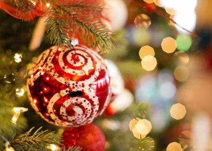 Newsletter n. 11/2016